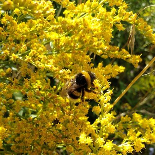 Photo #5754033