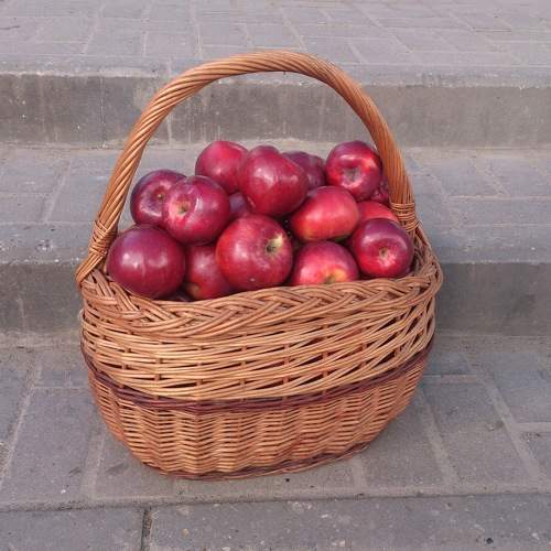Photo #5754094