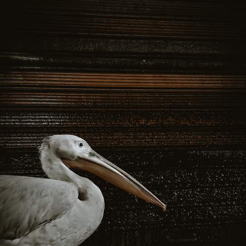 Photo #5755238