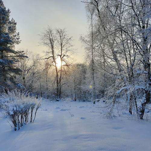 Photo #5755531