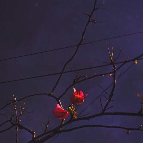 Photo #5755863