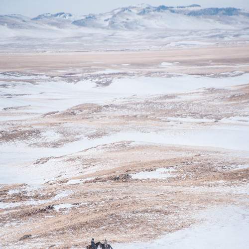 Photo #5755917