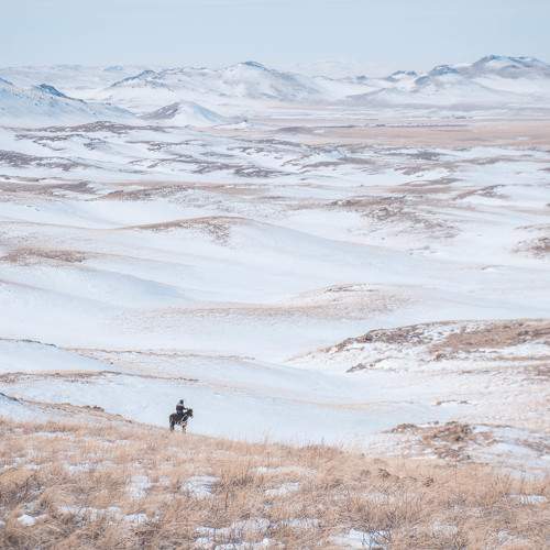Photo #5755918