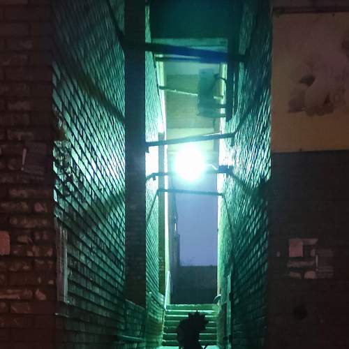 Photo #5755990