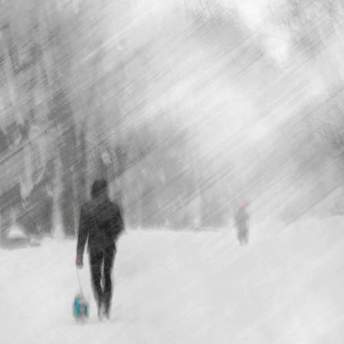 Photo #5756416