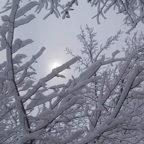 Photo #5756558