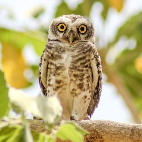 Photo #5756598