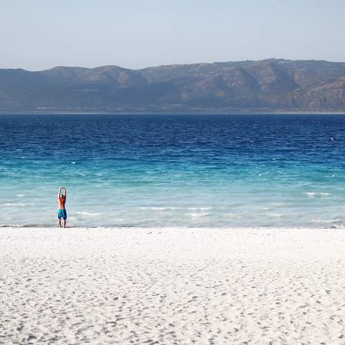 Photo #5756599