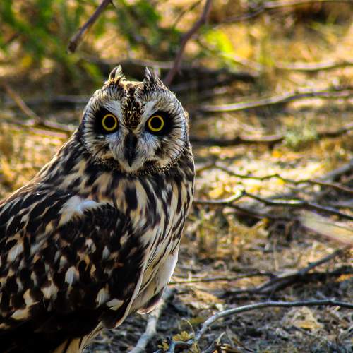 Photo #5756600