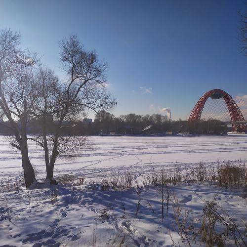 Photo #5756755