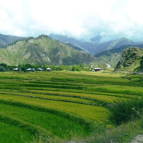 Photo #5758531