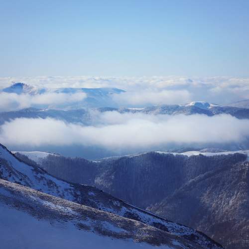 Photo #5758710