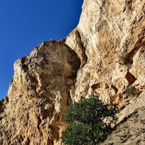 Photo #5759029