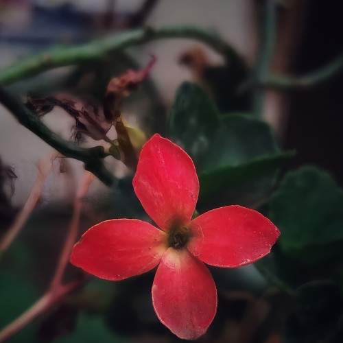 Photo #5759189