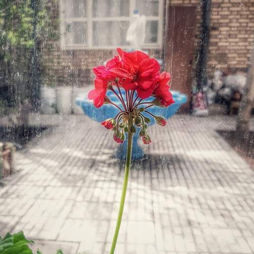 Photo #5759191