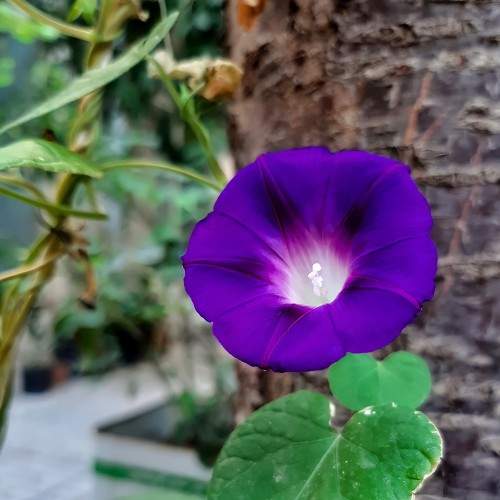 Photo #5759192