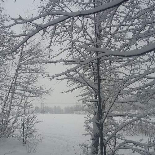 Photo #5759478