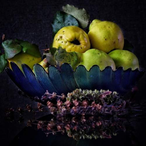 Photo #5759858