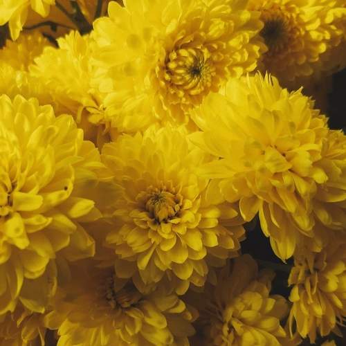 Photo #5759877