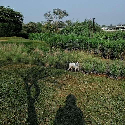 Photo #5759880