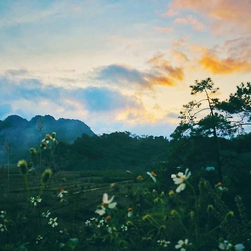 Photo #5760335