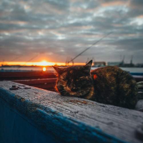 Photo #5760464