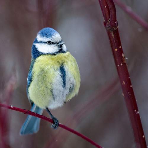 Photo #5760475