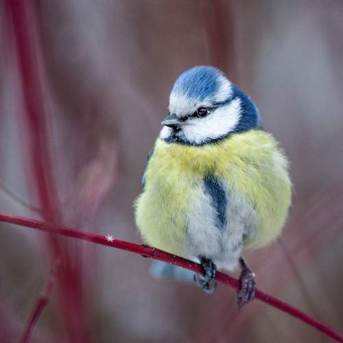 Photo #5760508