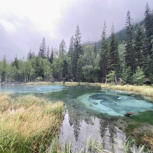 Photo #5760890