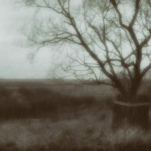 Photo #5760965