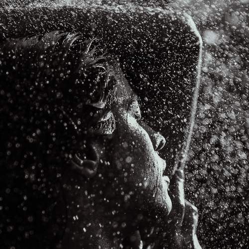 Photo #5761499