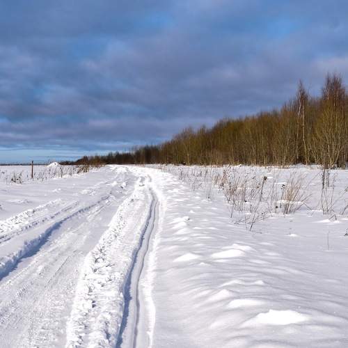 Photo #5761657