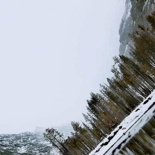 Photo #5761691
