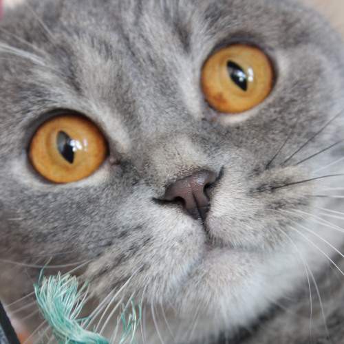 Photo #5761729