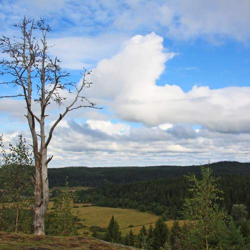 Photo #5761907
