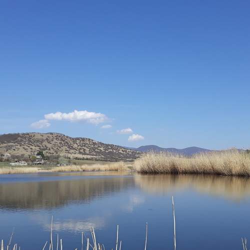 Photo #5762338