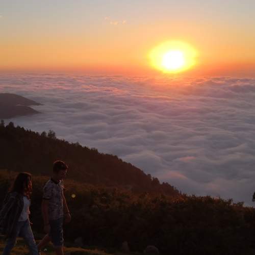 Photo #5762412