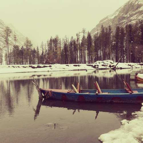 Photo #5762549