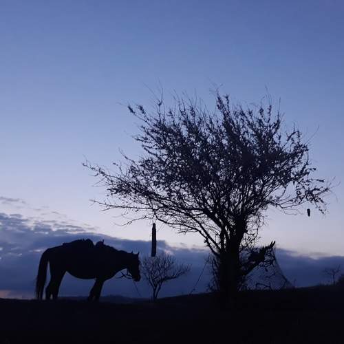 Photo #5762557