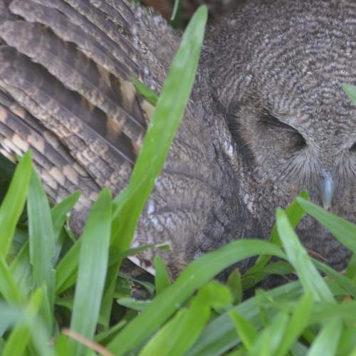 Photo #5762599