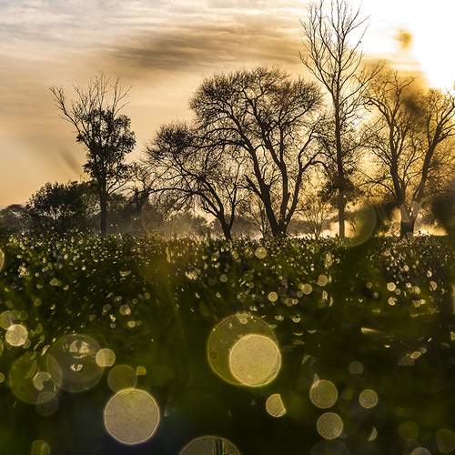 Photo #5762631