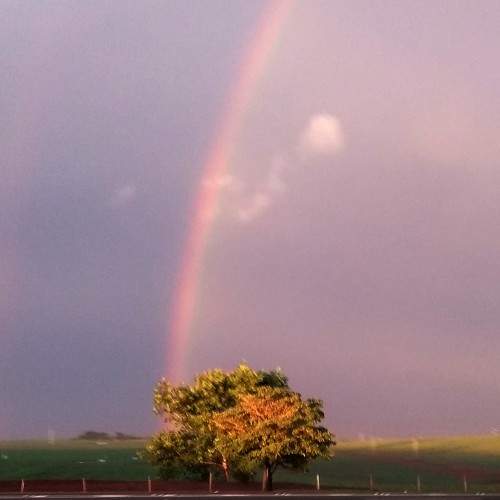 Photo #5762662