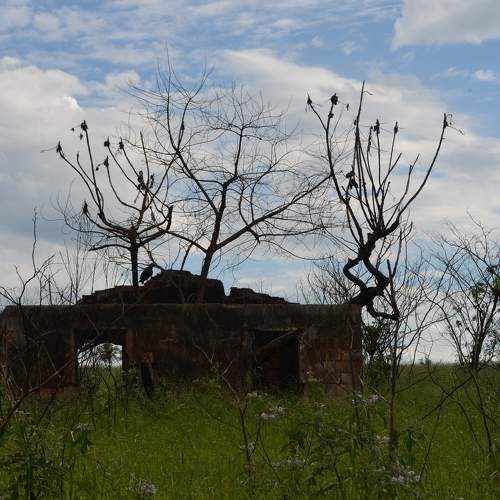 Morada