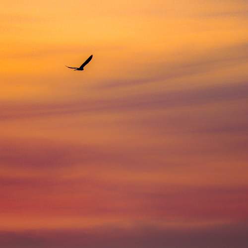 Photo #5762925