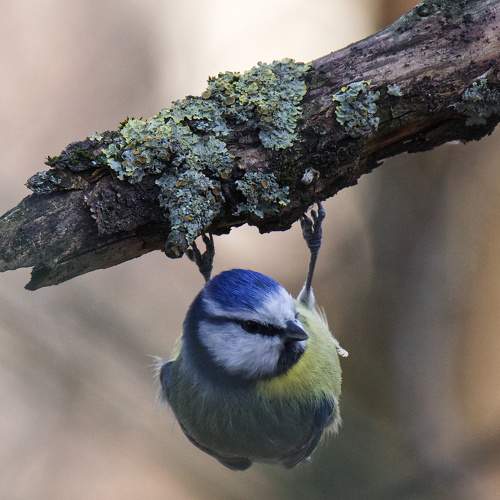 Photo #5762985