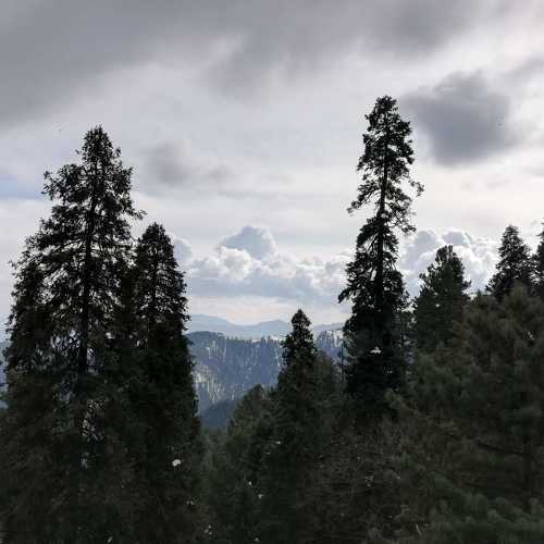 Photo #5763297