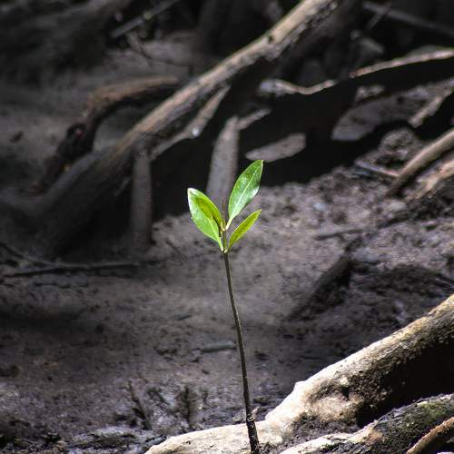 Photo #5763379