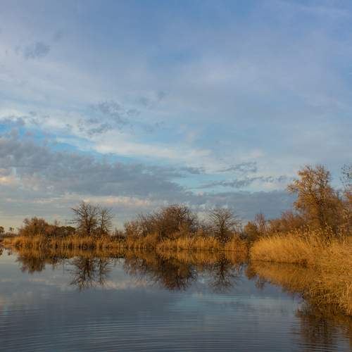Photo #5763785
