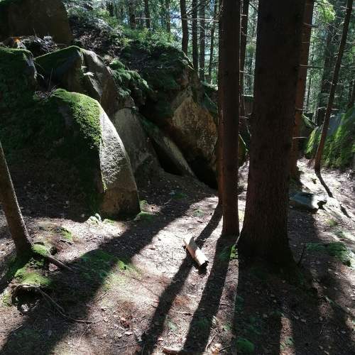 Photo #5764023