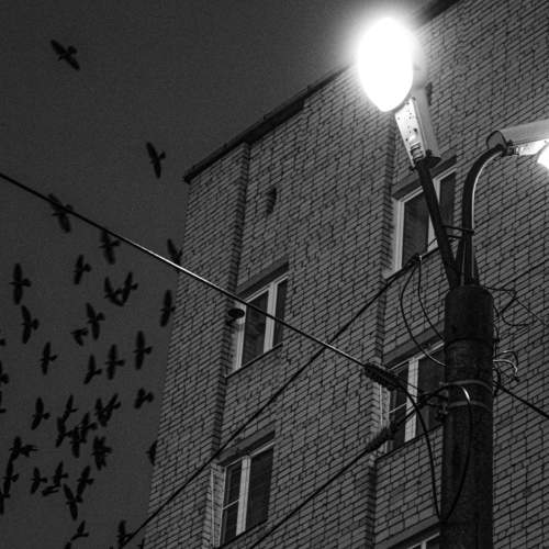 Photo #5764290